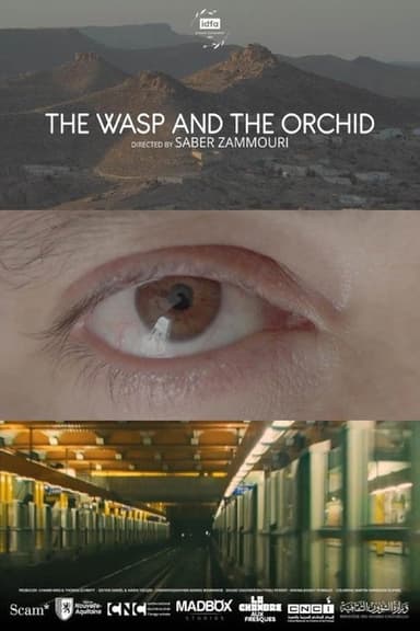 The Wasp and the Orchid poster