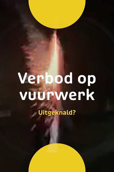 Uitgeknald? poster