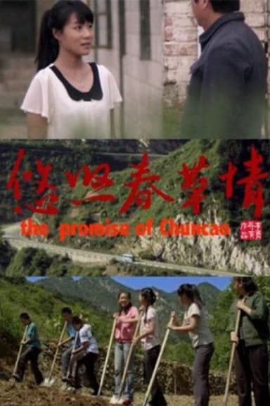 The Promise of ChunCao poster