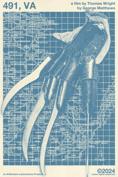 491, VA poster