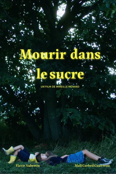 Mourir dans le sucre poster