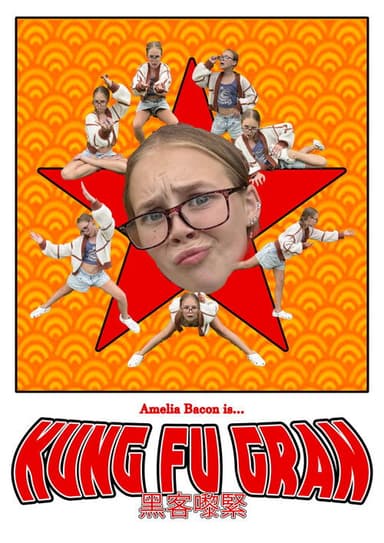 Kung Fu Gran poster