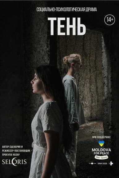 ТЕНЬ poster