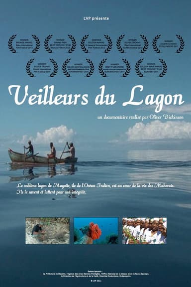 Caring for the Lagoon poster