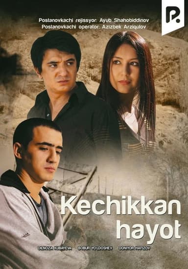 Belated life poster