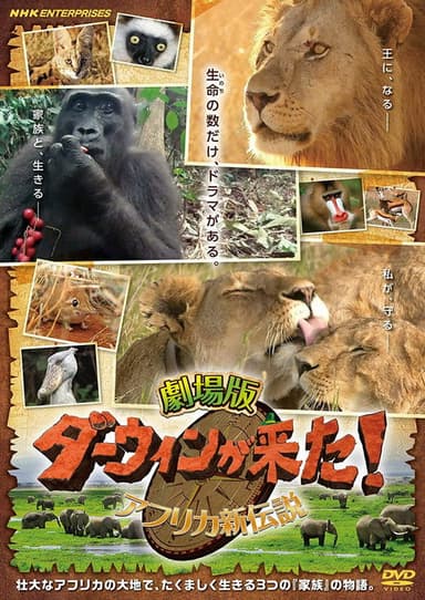 Darwin is here! new african legend poster