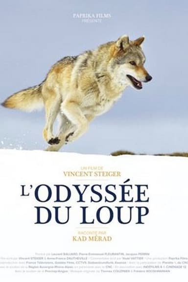 L'odyssée du loup : secrets de tournage poster