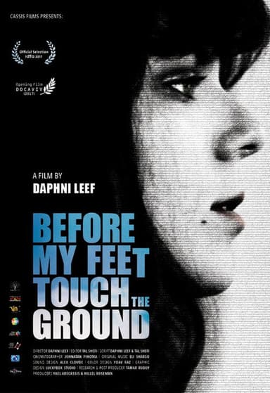 Before My Feet Touch The Ground poster