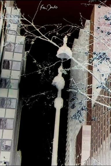 City Foliage poster