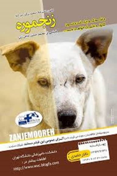Zanjmoore poster