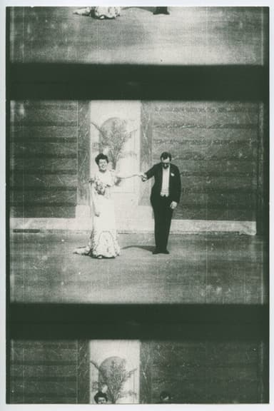 The Merry Widow poster
