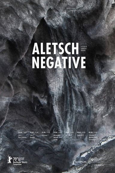 Aletsch Negative poster