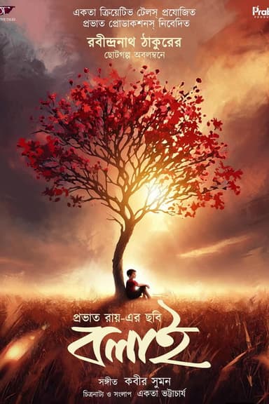 Bolai poster