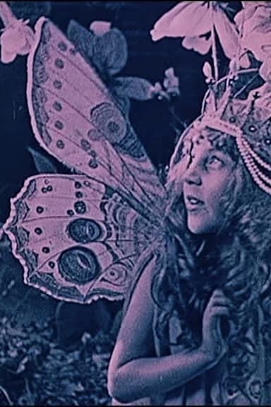 The Queen of the Butterflies poster