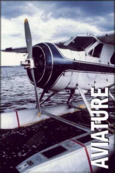 Aviature poster
