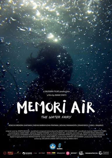The Water Fairy poster
