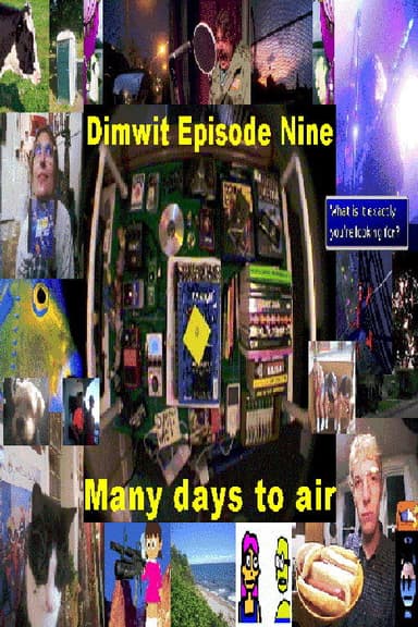 Dimwit Episode Nine poster