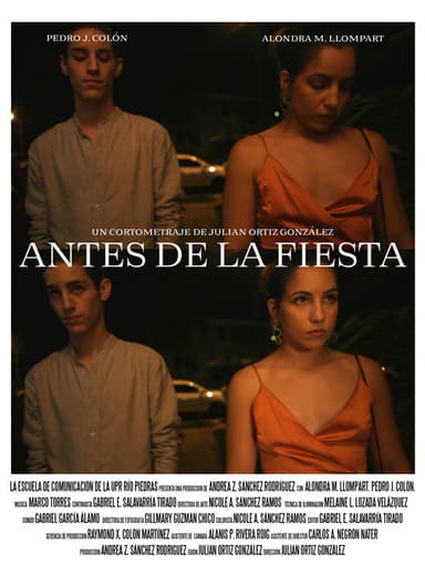 Before the Party poster