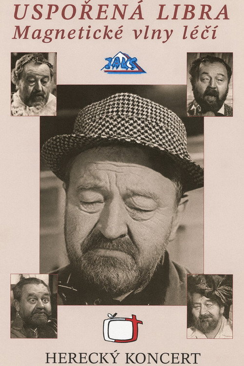 Uspořená libra poster