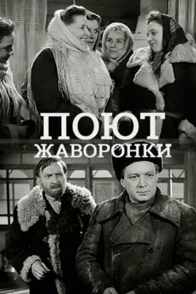 Поют жаворонки poster