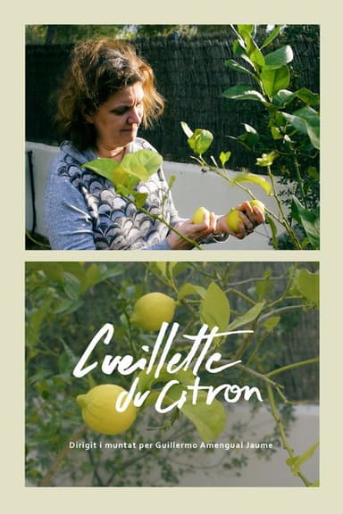 Cueillette du citron poster