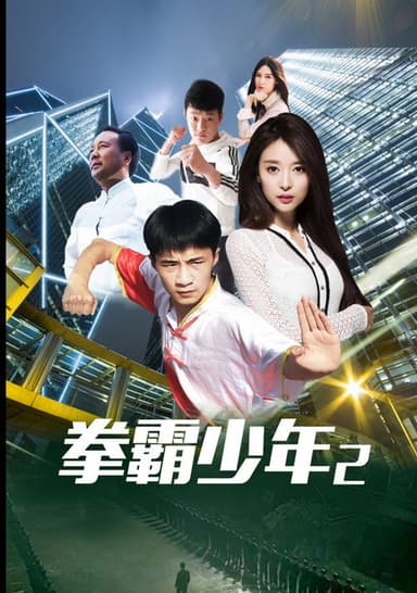 拳霸少年2 poster