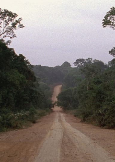 Travelling Amazonia poster