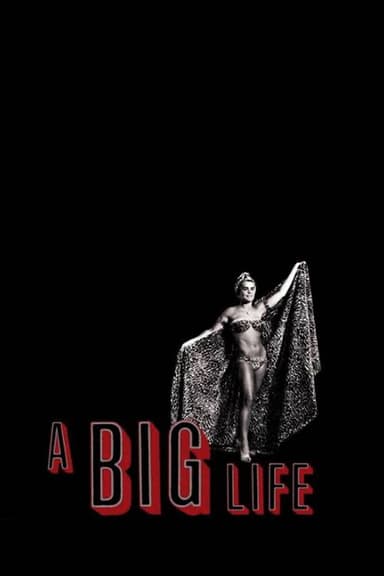 A Big Life poster