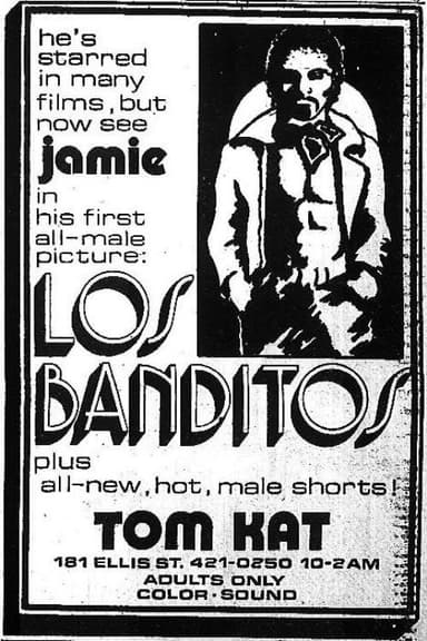 Los Banditos poster