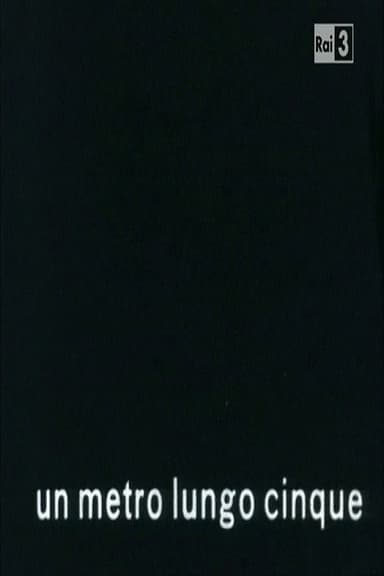 Un metro lungo cinque poster