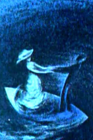 On the Beautiful Blue Danube poster