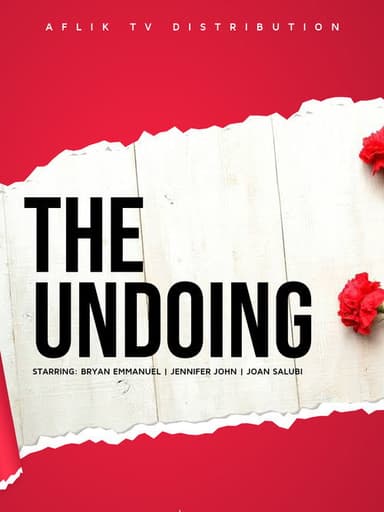The Undoing poster