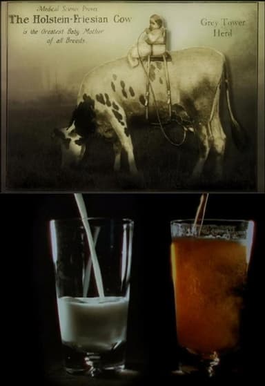 Notes on Milk poster