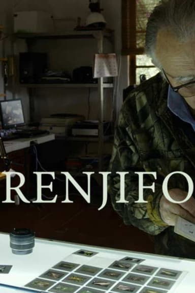 Renjifo poster