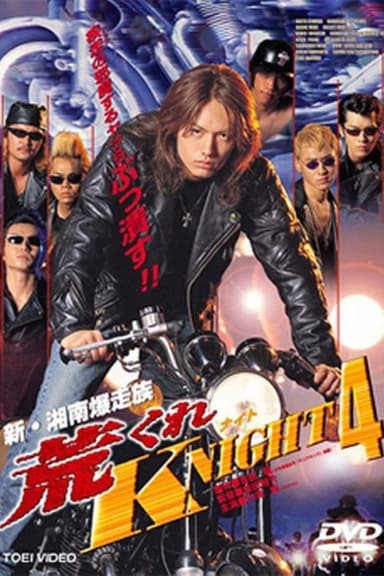 Rough KNIGHT 4 poster