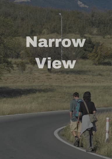 Narrow View poster