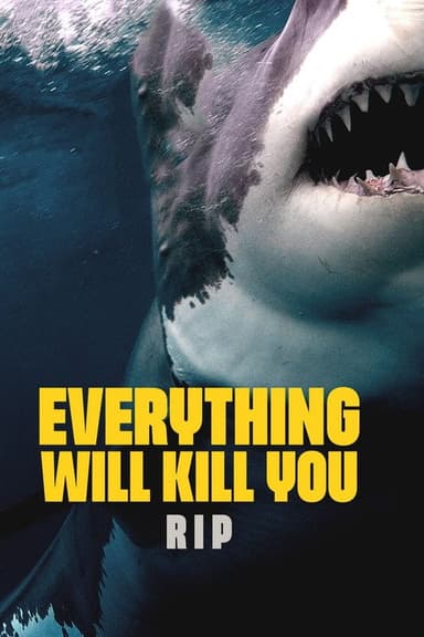 EVERYTHING WILL KILL YOU - RIP poster