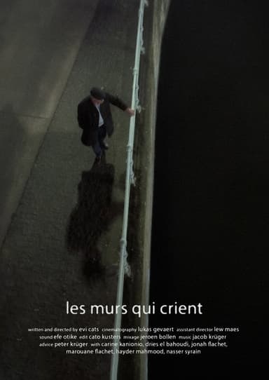 Walls That Scream poster