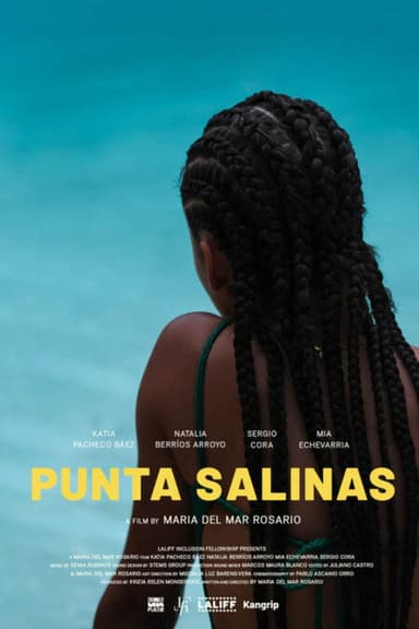 Punta Salinas poster