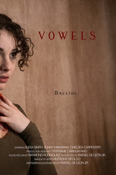 Vowels poster
