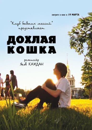 Дохлая кошка poster