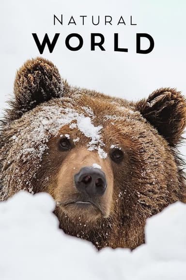 France: The Wild Side poster