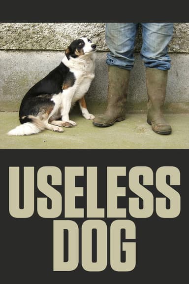 Useless Dog poster