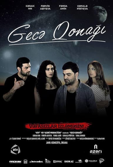 Night Guest poster
