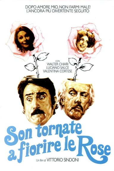 Son tornate a fiorire le rose poster