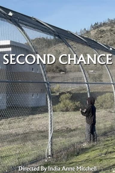Second Chance poster