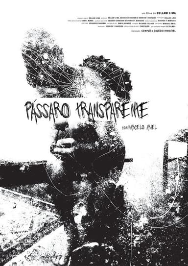 Pássaro Transparente poster