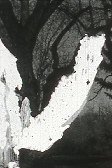 Black Vision poster