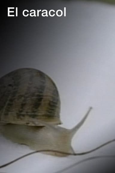 El caracol poster
