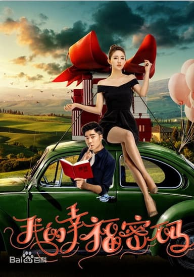我的幸福密码 poster